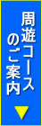 夜のご宴会コースのご案内